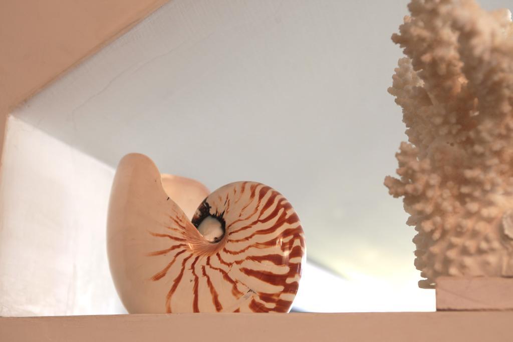 Nautilus Hotel Riccione Ngoại thất bức ảnh